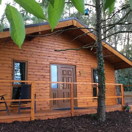Butterfly Cabin Limerick Exterior foto