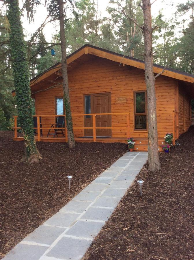 Butterfly Cabin Limerick Exterior foto