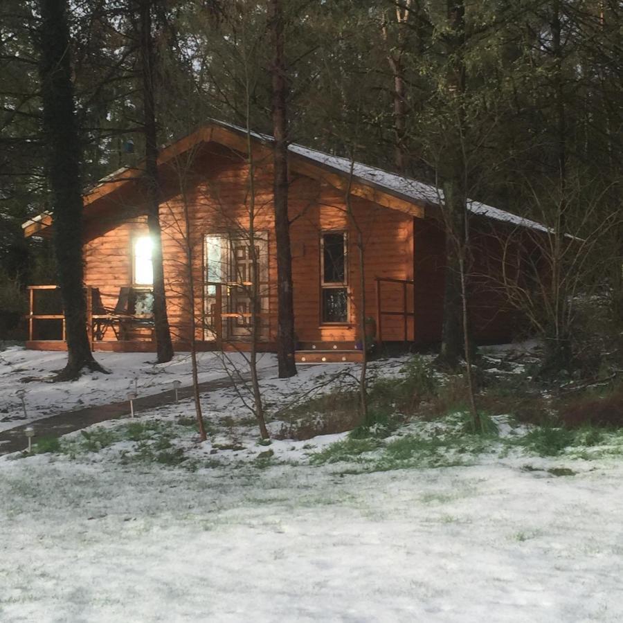 Butterfly Cabin Limerick Exterior foto
